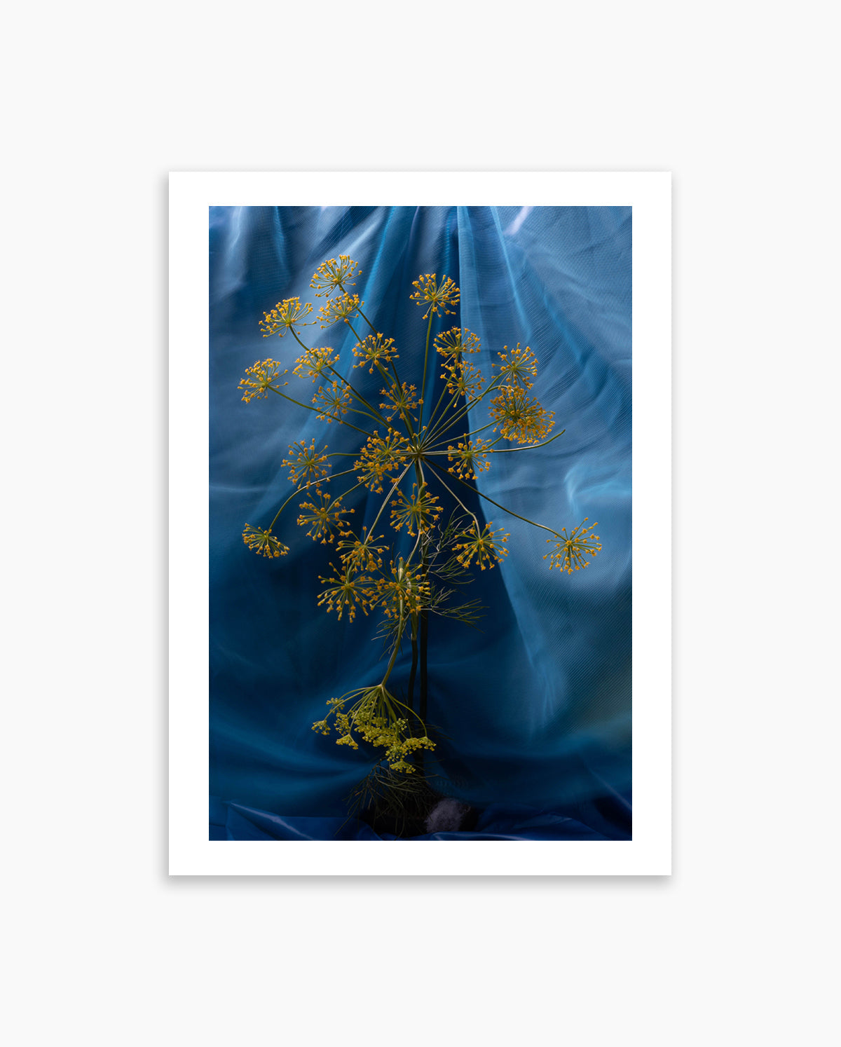 Blue Aura