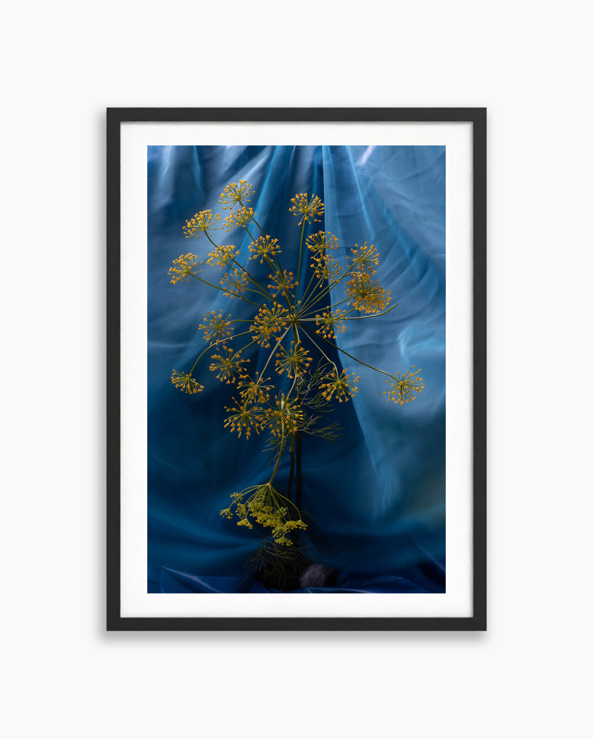 Blue Aura