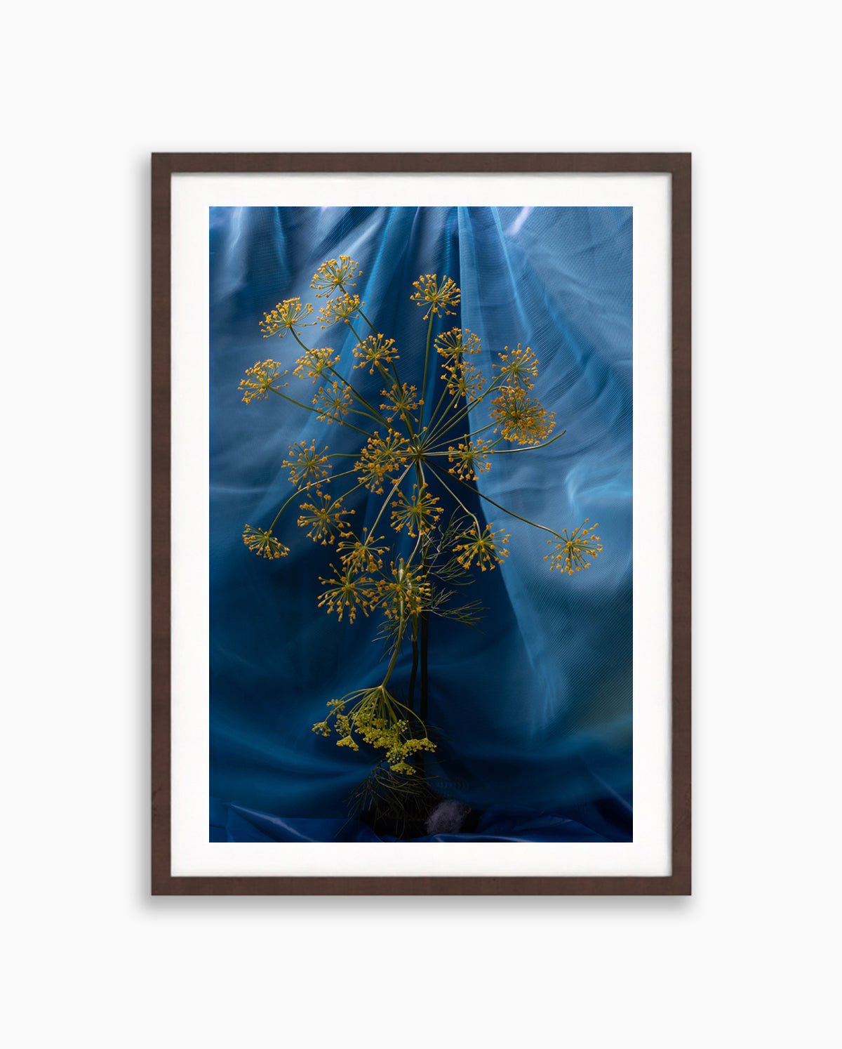 Blue Aura