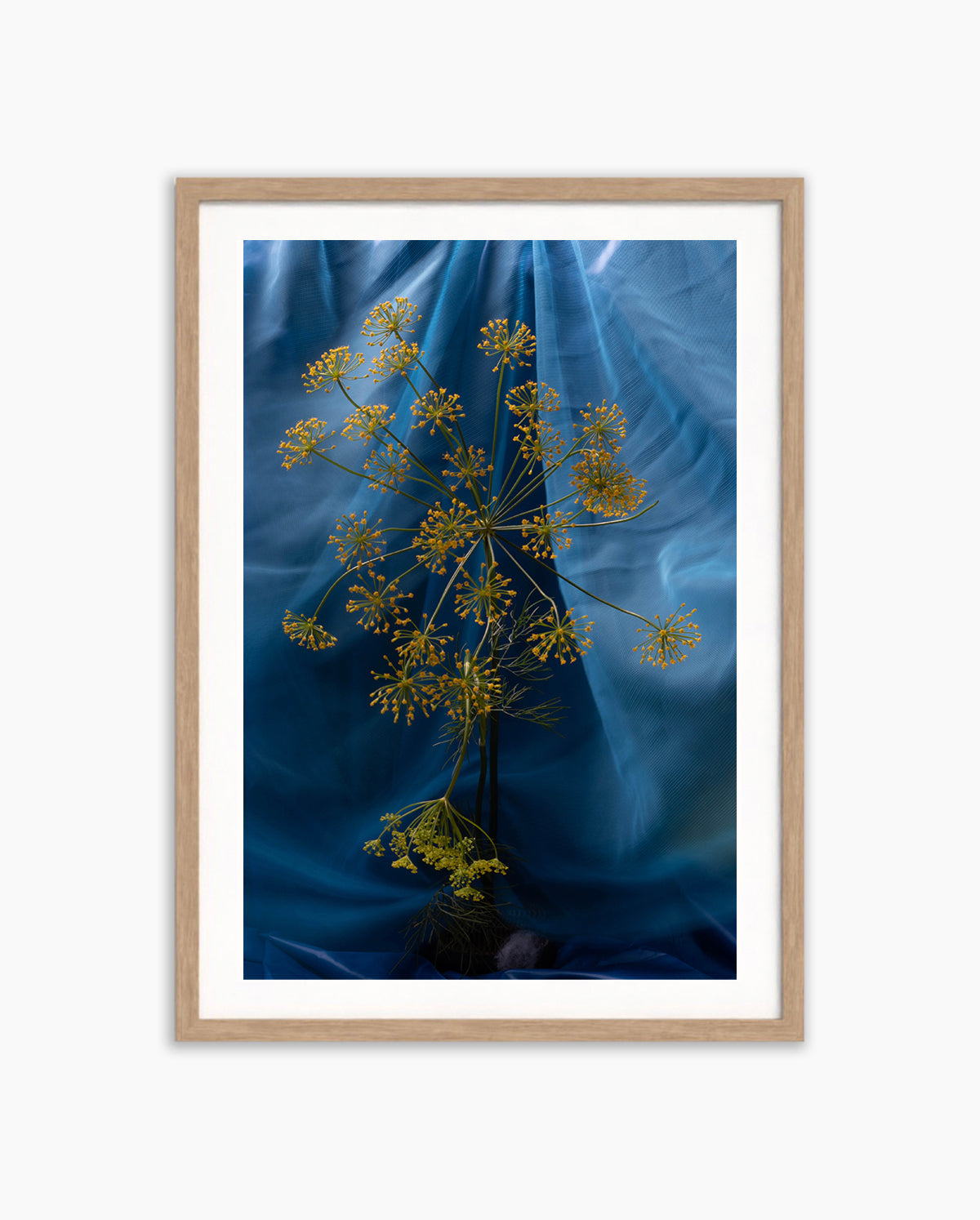 Blue Aura
