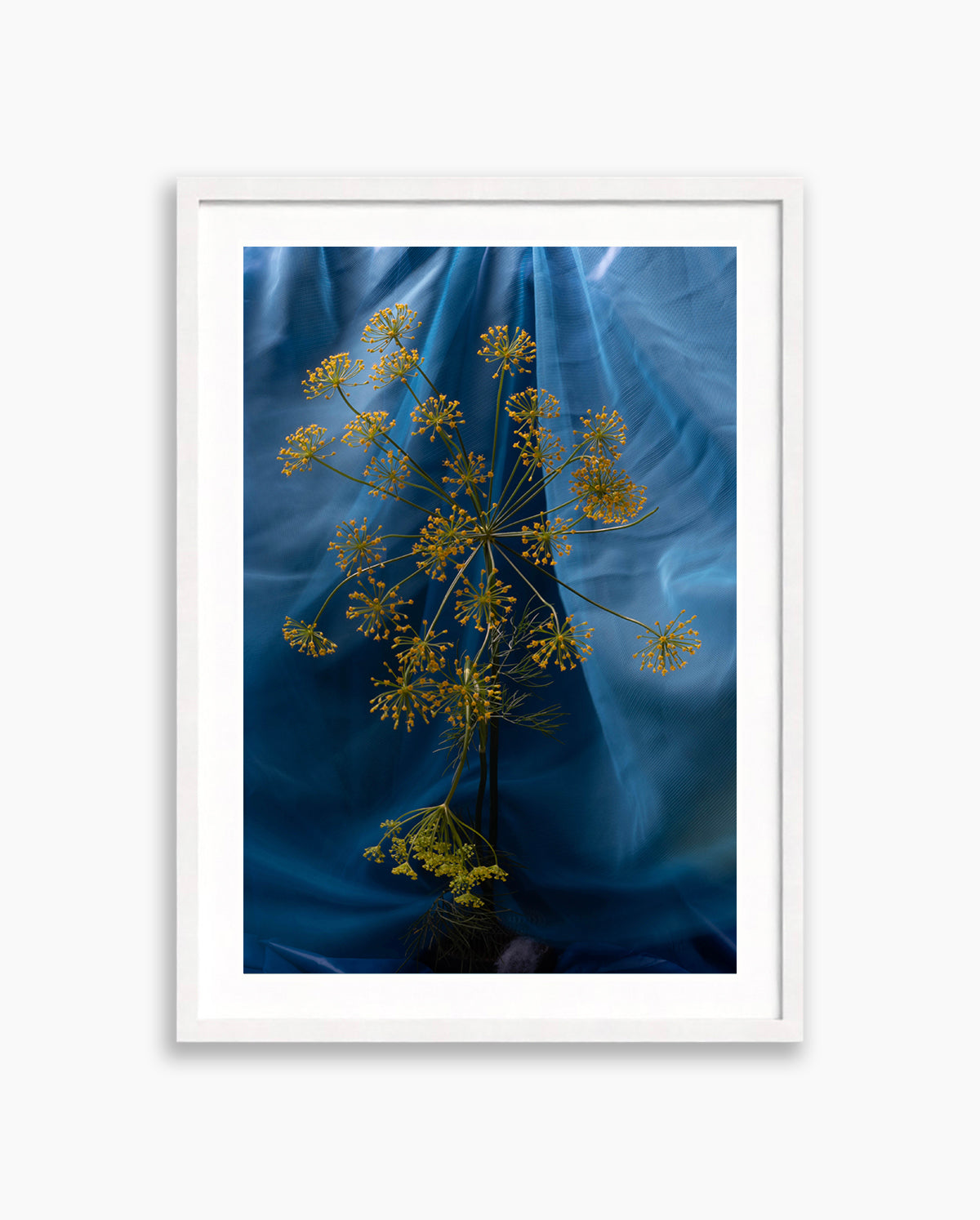 Blue Aura