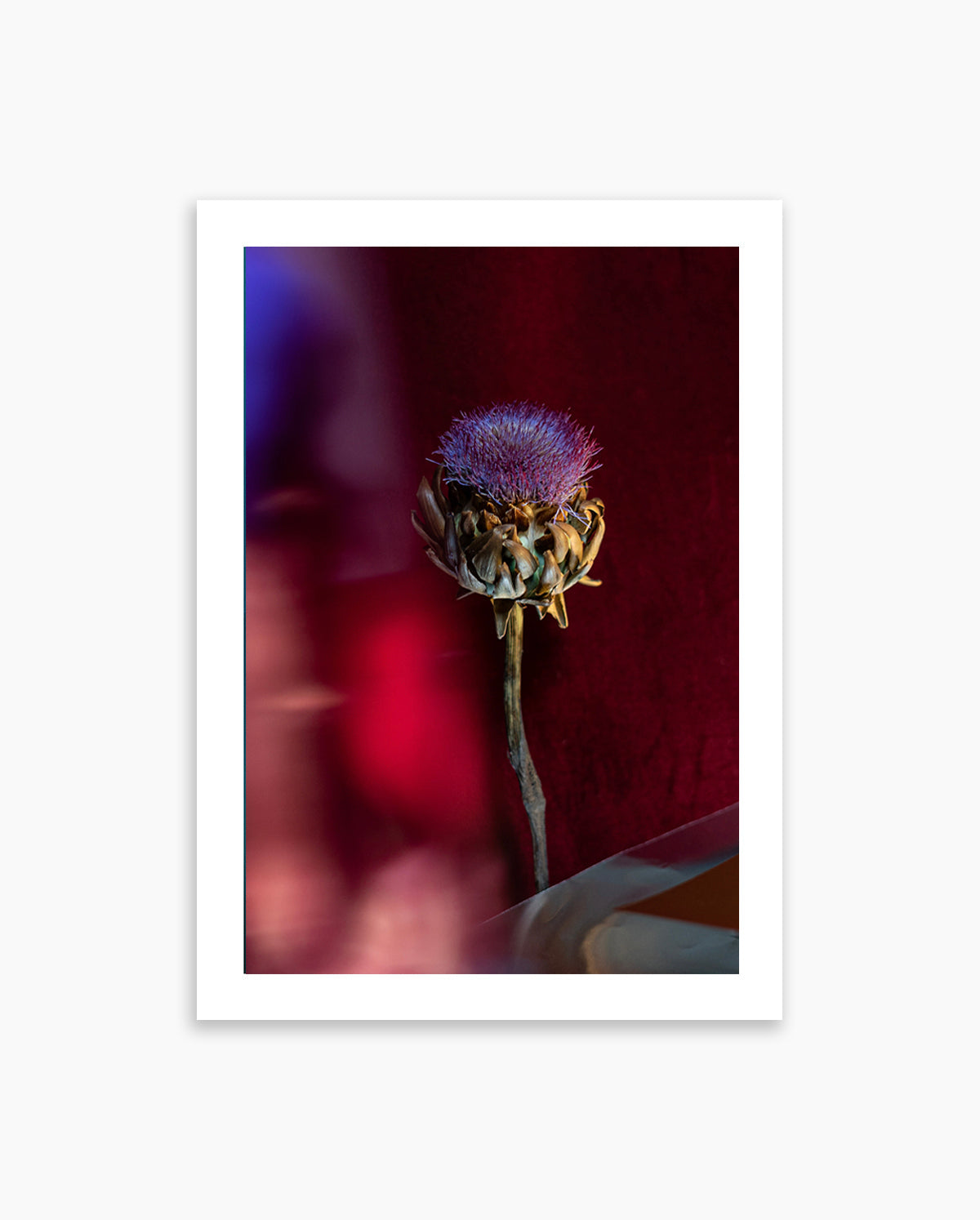 Velvet Cherry