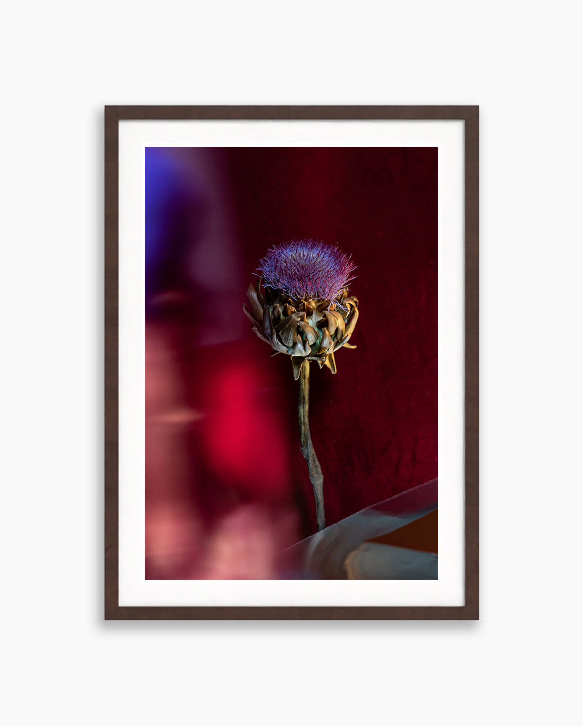 Velvet Cherry