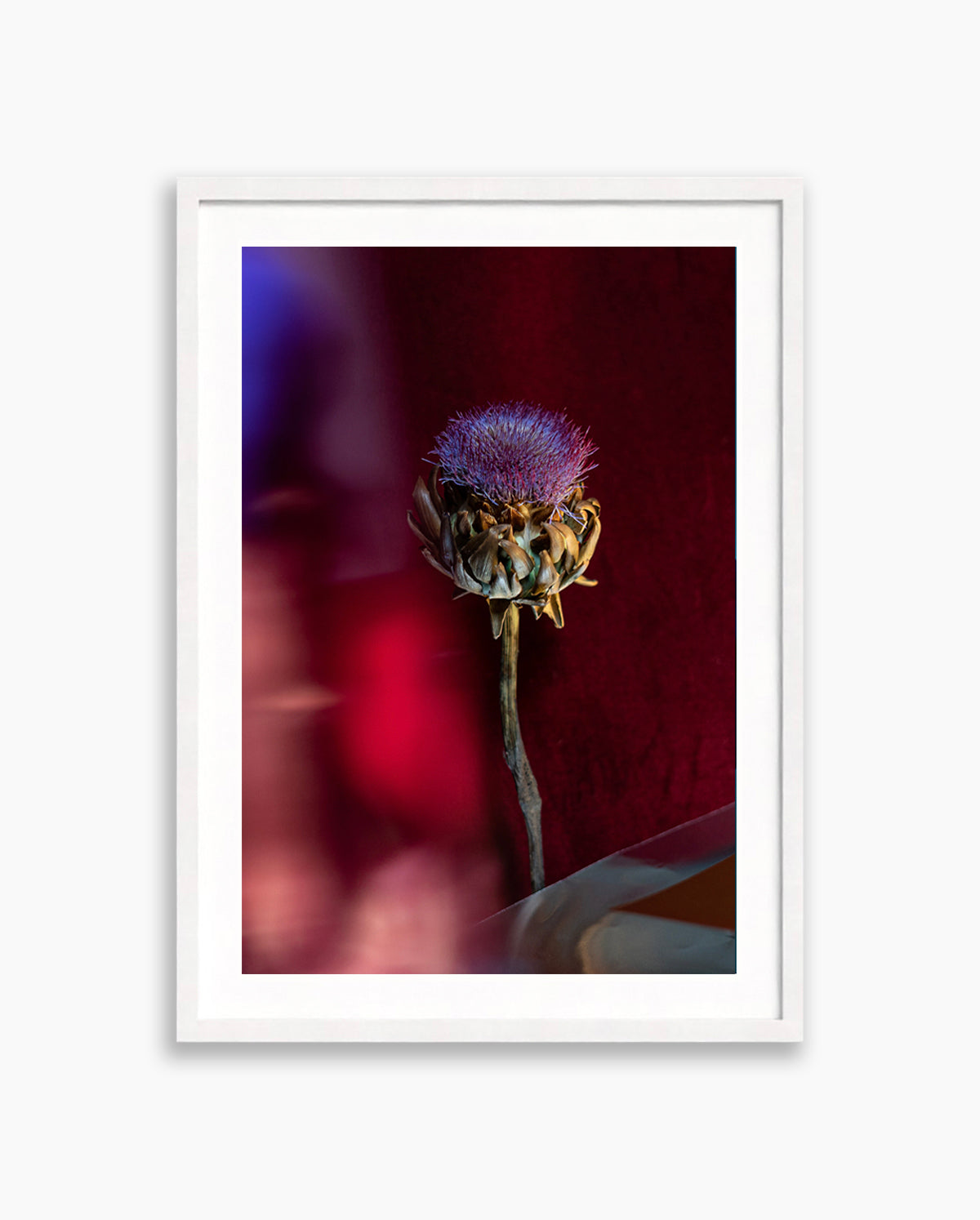Velvet Cherry